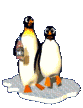 penguin.gif (54508 bytes)